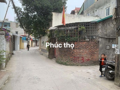 Đất chính chủ em -bán gấp -vị trí đẹp thôn phúc thọ, mai lâm, đông anh 1