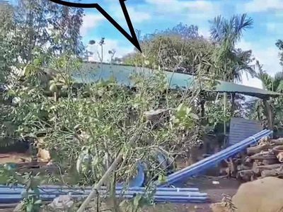 Đất rẫy 2 hecta trồng cà phê, tiêu, sầu riêng xen canh đăk lăk 2