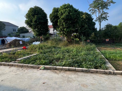 60m khoang mè hạ bằng 0