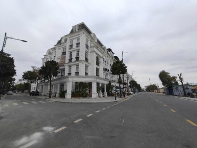  boom tấn  toàn bộ quỹ căn biệt thự đang bán tại louis city đại mỗ từ 2x đến 6x tỷ 0