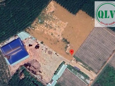Cho thuê nhà xưởng gần 10.000m2 tại Phú Giáo, Bình Dương 0