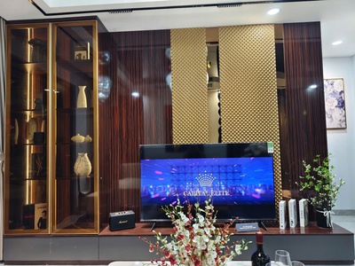 Bán chung cư cao cấp Capital Elite 18 Phạm Hùng, nhận nhà ở ngay, ký trực tiếp CĐT 2