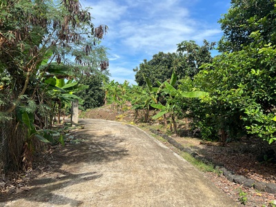 Kẹt tiền cần bán gấp lô đất vườn gia kiệm 6800m2 - Giá chỉ 850tr 7