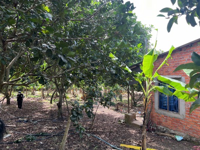 Kẹt tiền cần bán gấp lô đất vườn gia kiệm 6800m2 - Giá chỉ 850tr 0