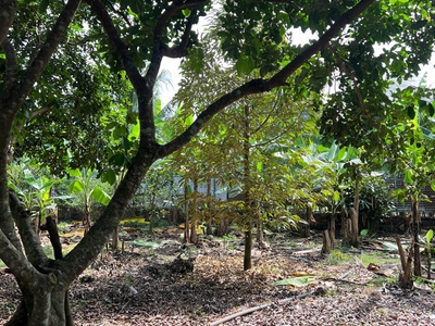 Kẹt tiền cần bán gấp lô đất vườn gia kiệm 6800m2 - Giá chỉ 850tr 5