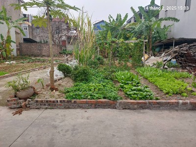 Đất xuân nộn, 60m2, mt4.5m, lô góc, 3.6 tỷ đông anh, ô tô. 2