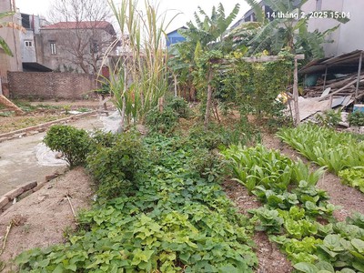 Đất xuân nộn, 60m2, mt4.5m, lô góc, 3.6 tỷ đông anh, ô tô. 3