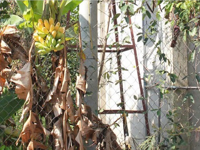 Bán đất vườn 750tr diện tích 2500m2 1