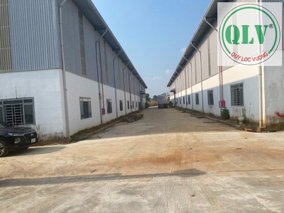 Cho thuê nhà xưởng nhiều diện tích  từ 2.380m2  ở KCN Đồng Phú, Bình Phước 4