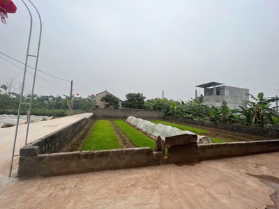 Hoa hậu tại an hiền - hoàng diệu -chương mỹ  chỉ hơn 10tr/m đất giãn dân  dt :200m full thổ cư 1