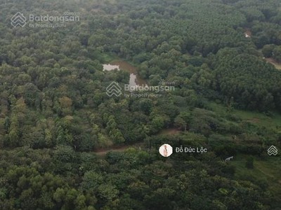 Cần bán lô đất 10ha  quy hoạch dân cư cao tầng, thấp tầng tại tp thủ đức 0