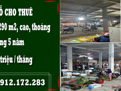 Chợ đại mỗ cho thuê 0