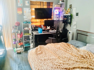 Siêu phẩm tân bình, chợ tân trụ   nhà mới 61m , hẻm nhựa 8m, giá chỉ 7 tỷ 7, thương lượng 2