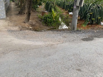 Bán đất chính chủ ngang 9,22m nở hậu 9,9m dài 63,54m tổng diện tích 704,7mv đất cây lâu năm có 0
