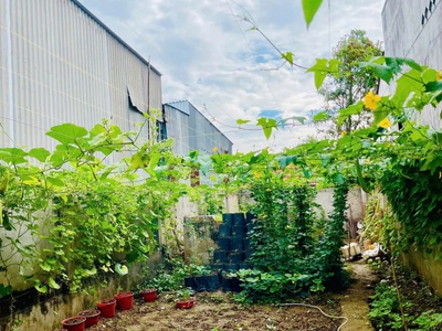 Mặt tiền kinh doanh đỉnh siêu hiếm - khu vip không có nhà bán chỉ 19 tỷ xx, tại bình thọ, thủ đức, 2