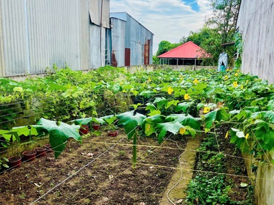 Mặt tiền kinh doanh đỉnh siêu hiếm - khu vip không có nhà bán chỉ 19 tỷ xx, tại bình thọ, thủ đức, 3