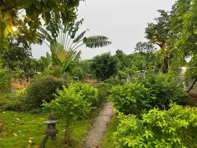 Bán gấp nhà 4075m2. giá 1,2 tỷ, nhà cấp 4 nhà chòi, sân vườn, cây trái 3