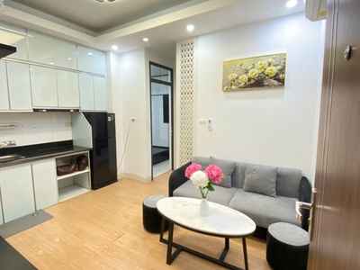 Bán căn ccmn 2pn cực đẹp tại ngõ 213 giáp nhất   ngã tư sở 0