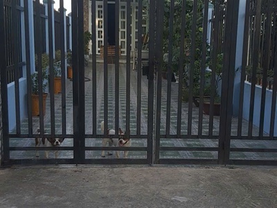 Thanh khoản ngân hàng cần bán gấp nhà đất tại đức hòa thượng, đức hòa, long an 0