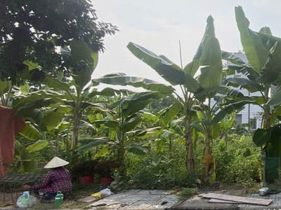 P lô  bán nền, long phước, thủ đức, dt 50m2   4 x 13   giá mềm  chỉ 2ty hơn 1