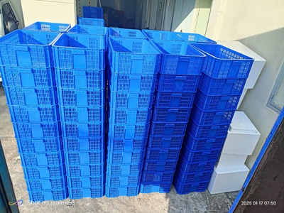 Đại lý phân phối sỉ - lẻ Sóng nhựa, sọt nhựa, khay nhựa đựng nông sản, trái cây 0