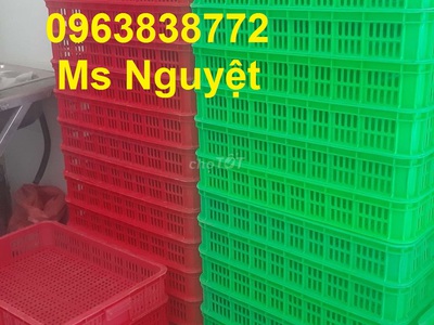 Đại lý phân phối sỉ - lẻ Sóng nhựa, sọt nhựa, khay nhựa đựng nông sản, trái cây 2