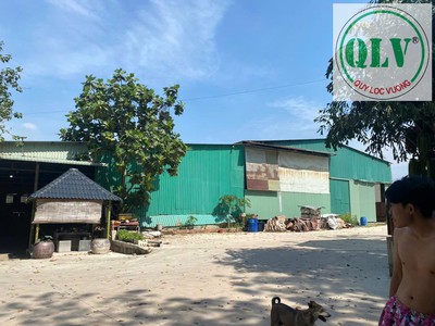 Bán 3.560m2 đất, nhà xưởng  ở Tân Uyên, Bình Dương 3