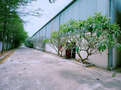 Bán hoặc cho thuê xưởng 15.000 m2 KCN Mỹ Xuân, Bà Rịa Vũng Tàu 0