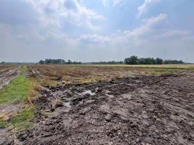 Đất đẹp - giá tốt - vị trí đắc địa tại xã trung lập hạ, huyện củ chi, tphcm 1