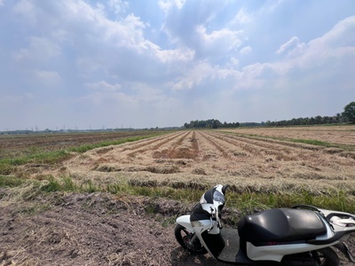 Đất đẹp - giá tốt - vị trí đắc địa tại xã trung lập hạ, huyện củ chi, tphcm 2