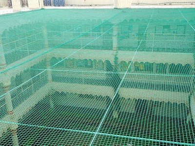 Lưới Xây Dựng Lưới An Toàn 2