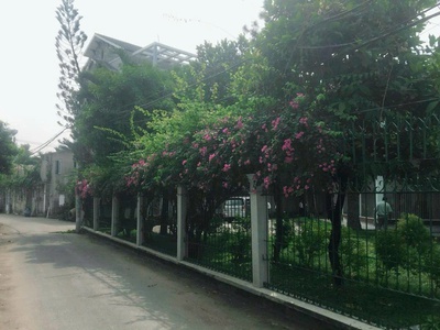 Cho thuê căn biệt thự tại đường số 12 phường trường thọ tp thủ đức. 2