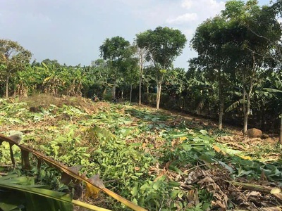 Chính chủ có 2 lô đất cần bán gấp ở đồng nai và đắk nông 0
