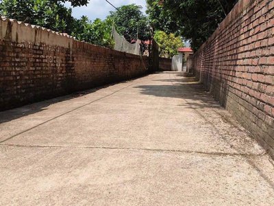 Giá nống nhất thị trương taih sóc sơn dt 60 m fun thổ cư giá chưa đến tỷ 2