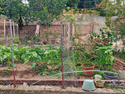 Giá nống nhất thị trương taih sóc sơn dt 60 m fun thổ cư giá chưa đến tỷ 0