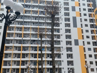 Dự án nhà ở xã hội Evergeen Tràng Duệ 3