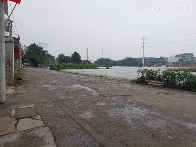 Đất đẹp như tranh, 115.5m2, mt5.5m, 11.2 tỷ, ô tô, vân nội, đông anh. 3