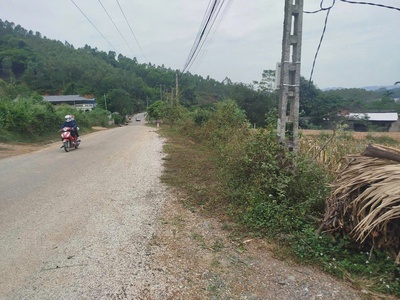 Cần bán nhanh đất view hồ ngay khu sinh thái hồ phượng mao thanh thuỷ, thanh sơn phú thọ 1