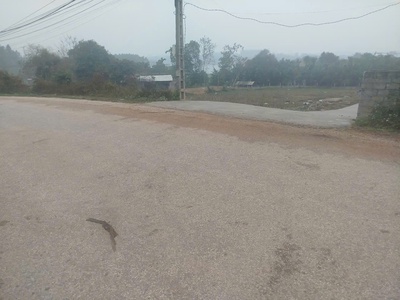 Cần bán nhanh đất view hồ ngay khu sinh thái hồ phượng mao thanh thuỷ, thanh sơn phú thọ 3