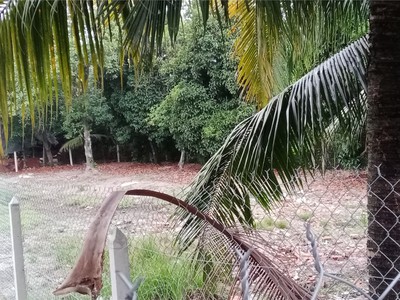 Chính chủ bán đất an sơn, thuận an 500m , thổ cư 100m , giá 4.6 tỷ 1