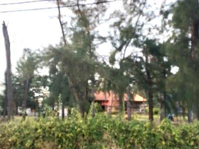 4.200 m2 đất mặt tiền biển đường phan đức - long hòa cần giờ - giá 105 tỷ 1