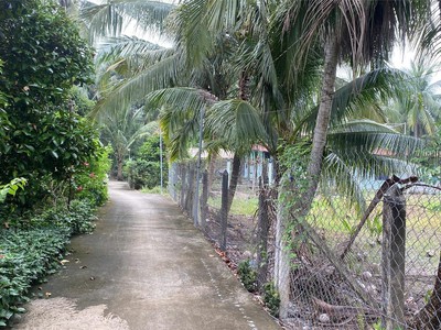 Chính chủ bán đất an sơn, thuận an 500m , thổ cư 100m , giá 4.6 tỷ 3