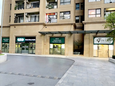 Bán shophouse S10 toà C2 lô góc tung tâm dự án Vinhomes D Capitale, view vườn hoa rất đẹp 1