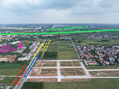Bán lô đất tại khu đấu giá thôn bạch đa, kim hoa, mê linh, hà nội 0
