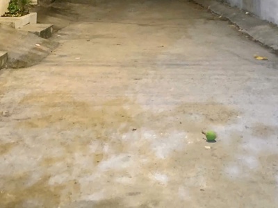 Nhà đẹp 3 tầng, xe hơi ngủ trong nhà , dtsd 136m2, ở ngay, thủ đức, giá chỉ 4ty nhỉnh. 1