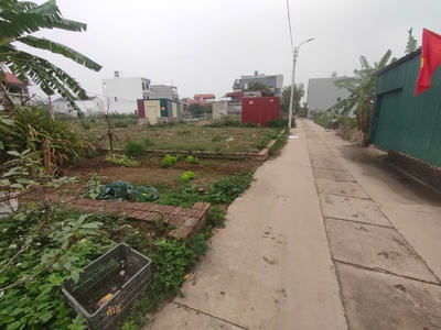 B.á.n đất tổ 10, tt quang minh, mê linh dt 61m2, mt4.2m, trục chính thông, ôtô vào đất 1