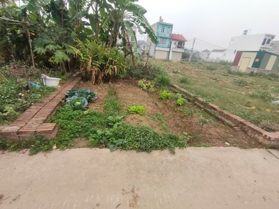 B.á.n đất tổ 10, tt quang minh, mê linh dt 61m2, mt4.2m, trục chính thông, ôtô vào đất 0