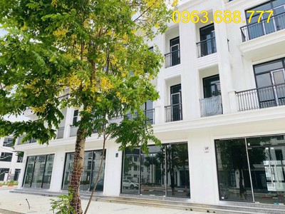 Bán bt,lk hud mê linh, giá gốc đầu tư,kinh doanh,5x triệu/m 4
