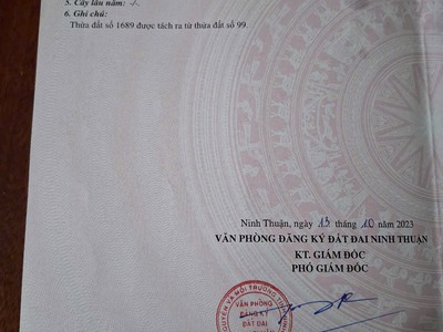 Bán lô đất đường 3m   1 sẹc đường liên xã   thôn từ tâm 2, phước hải, ninh phước 0