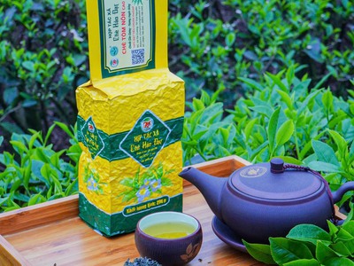 Chè Tôm Nõm Thái Nguyên  sản phẩm đạt OCOP 5 sao tại Thanh Hoá 3